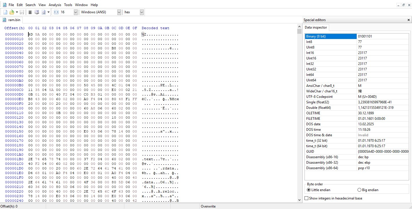 Extracted RAM module opened in hex editor